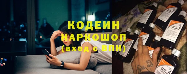 ГАЛЛЮЦИНОГЕННЫЕ ГРИБЫ Алзамай