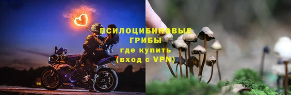 ГАЛЛЮЦИНОГЕННЫЕ ГРИБЫ Алзамай