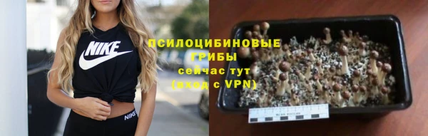 прущая мука Алексеевка