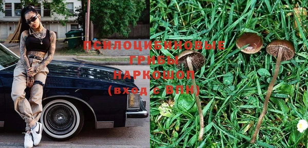 гидра Алексин