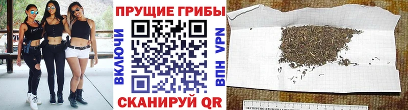 Псилоцибиновые грибы прущие грибы  darknet Telegram  Саянск  гидра как зайти 